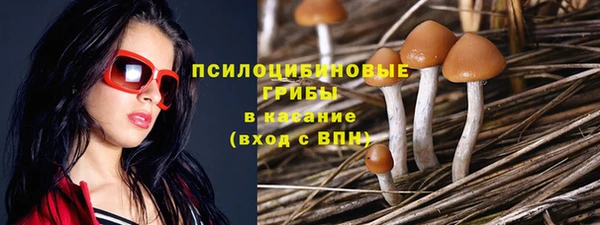 гашишное масло Вяземский